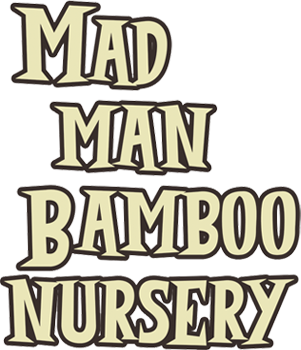 Mad Man Bamboo Nursery